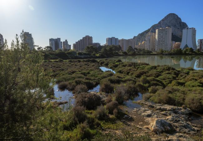 Appartement in Calpe - PARAISOMAR - *22B PREMIUM Appartement in Calpe - PARAISOMAR - *22B PREMIUM