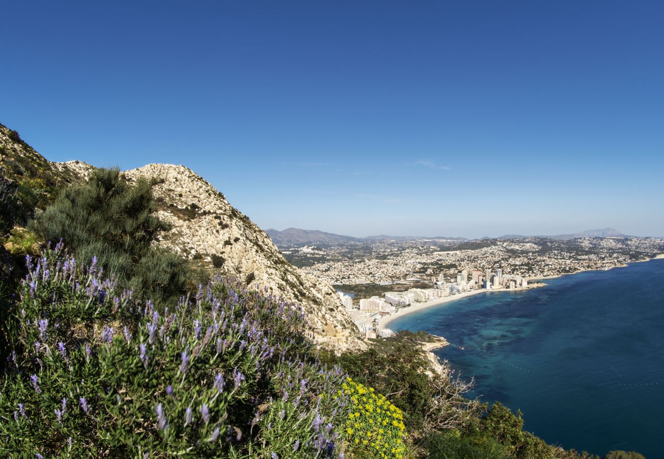 Appartement in Calpe - PARAISOMAR - *23B PREMIUM