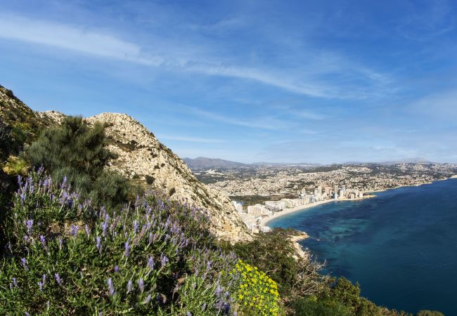 Appartement in Calpe - PARAISOMAR - *35A Appartement in Calpe - PARAISOMAR - *35A