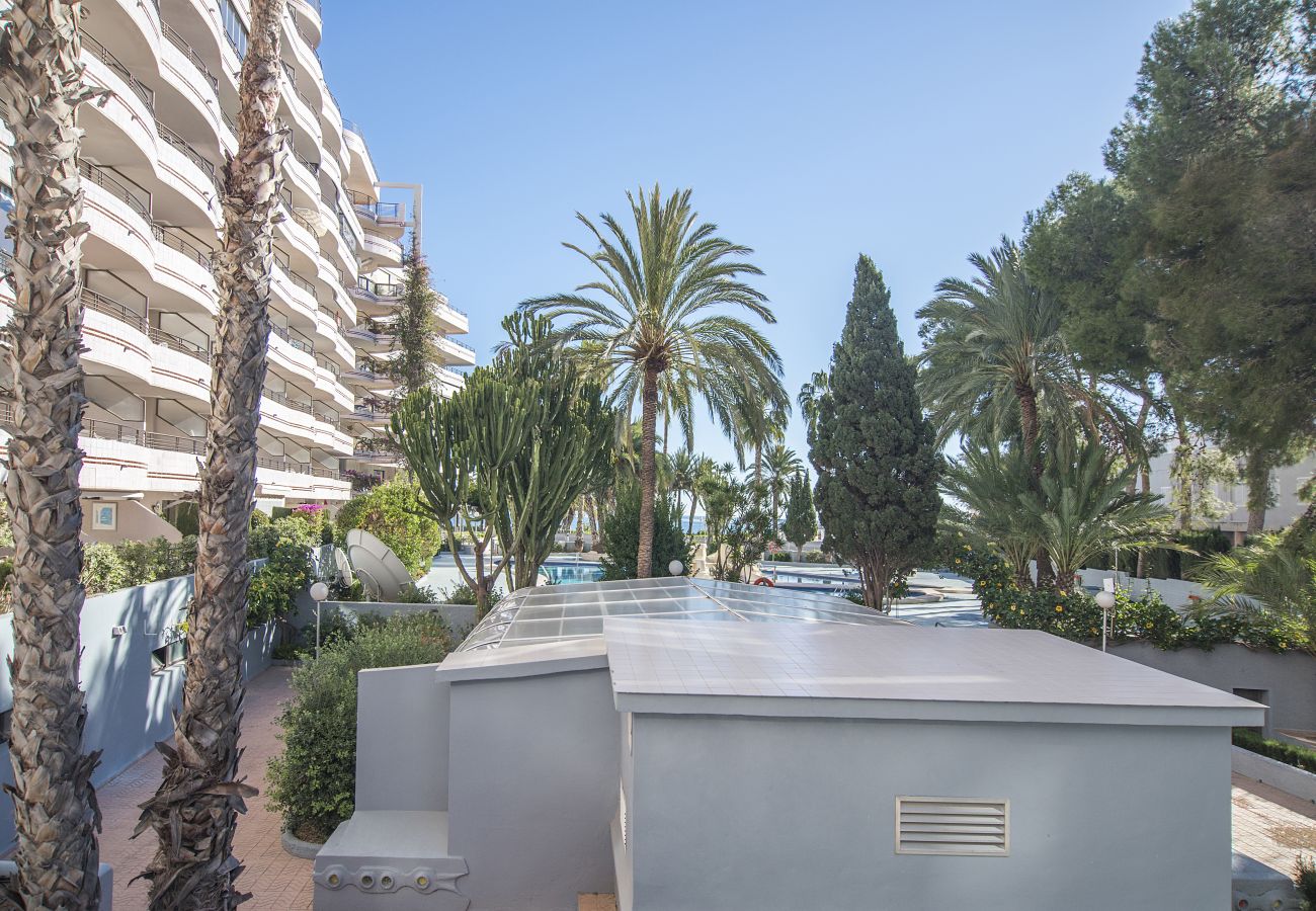 Appartement in Calpe - PARAISOMAR - 51B