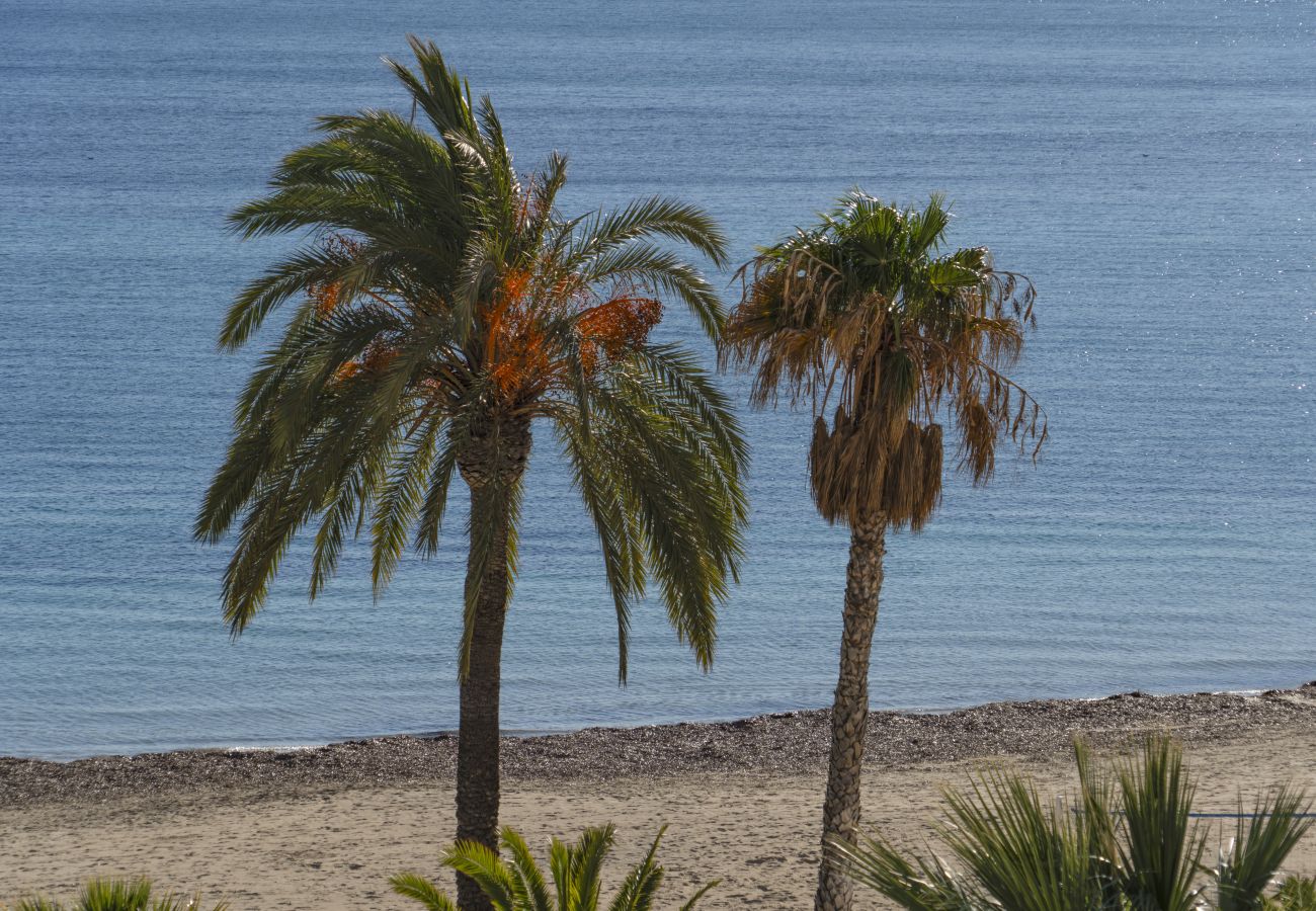 Appartement in Calpe - HIPOCAMPOS - 34A